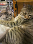 2011052318590000.jpg