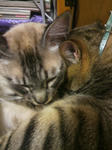 2011052319070000.jpg