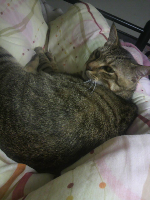 2011110423340000.jpg