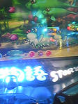 Image003.jpg
