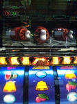 111225_203925.jpg