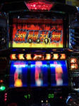 120128_103601.jpg