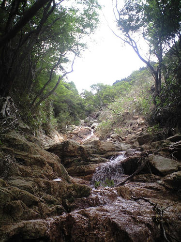 CA391170.JPG