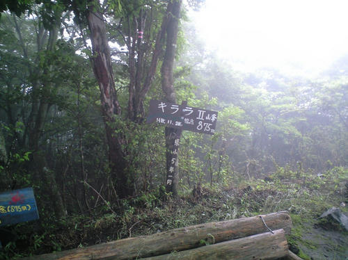 CA391158.JPG