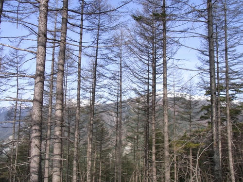 R0010947.JPG