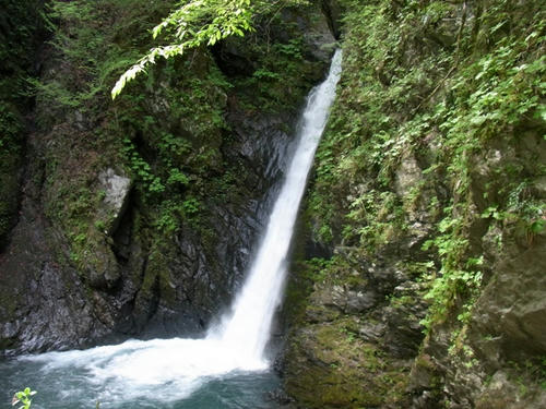 R0010957.JPG