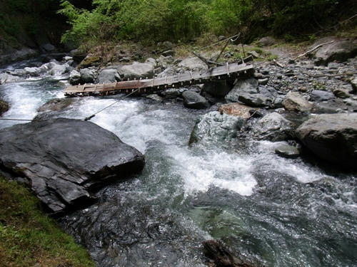R0010959.JPG