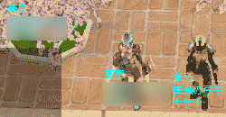 3人で花見