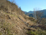 SN3E0276.jpg