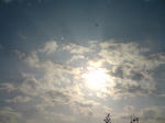 SN3E0293.jpg