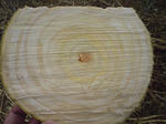 SN3E0299.jpg