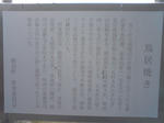 SN3E0301.jpg