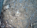 SN3E0311.jpg