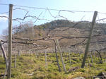 SN3E0340.jpg