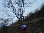 SN3E0361.jpg
