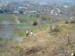 SN3E0441.jpg