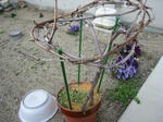 IMG_4323.jpg