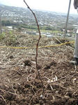 PICT0007.jpg