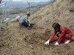 PICT0007-2.jpg