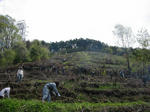 IMG_4529.jpg