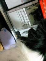 200909132057000.jpg