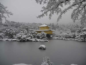 2010/12/31金閣寺2