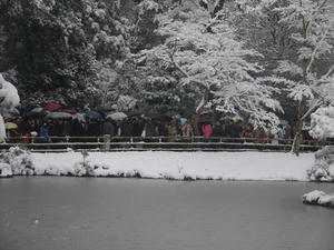 2010/12/31金閣寺4