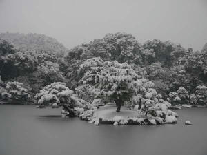 2010/12/31金閣寺5