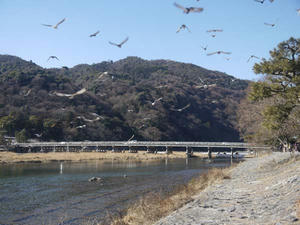 20110131togetsukyo-2