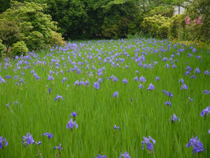 20110516大田神社