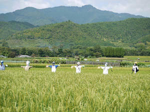 2011晩夏の嵯峨野