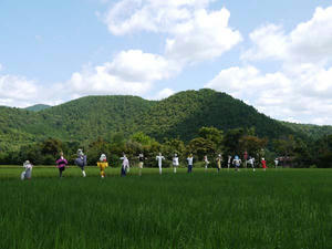 2010kakasi