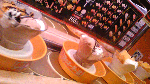 DVC00358.gif