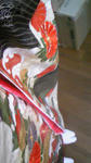 DVC00364.JPG