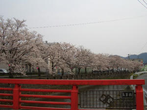 CIMG0084.JPG