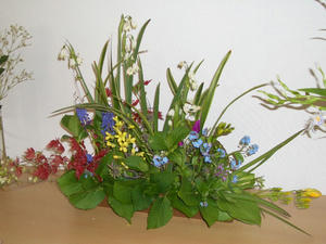 CIMG0145.JPG