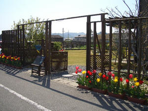 CIMG0203.JPG