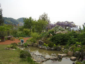 CIMG0268.JPG