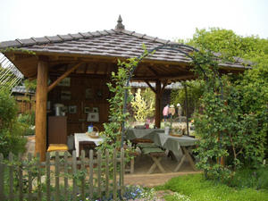 CIMG0274.JPG