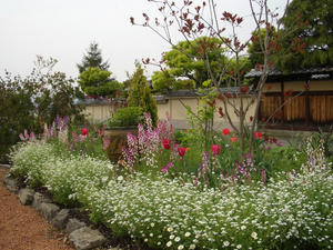 CIMG0275.JPG