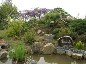 CIMG0271.JPG