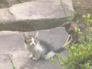 CIMG0585.JPG