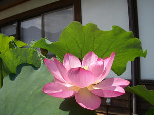 CIMG0623.JPG