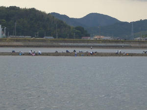 CIMG0755.JPG