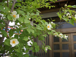 CIMG0765.JPG