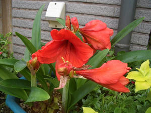 CIMG0769.JPG