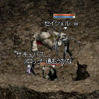 楽しい蟻穴通い！