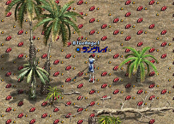 貝殻とフルーツで埋め尽くされたPIの海岸