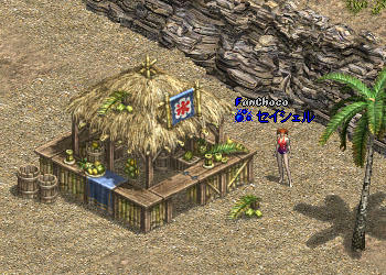 水着の夏～ワンピース～