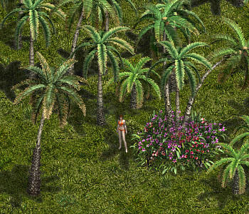 夏のリゾート地にて♪